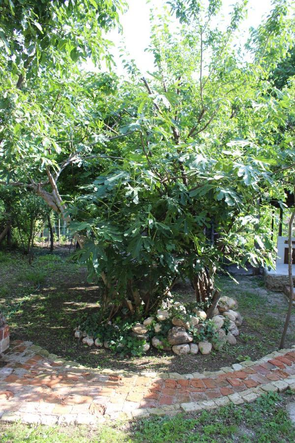 Guest House Meri Poppins Dedoplis Tskaro Εξωτερικό φωτογραφία