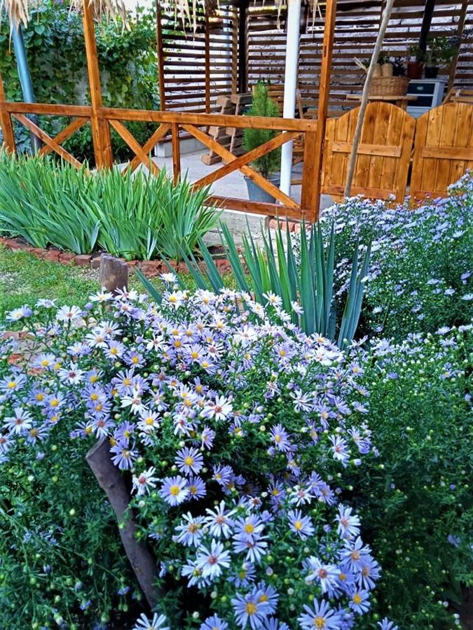 Guest House Meri Poppins Dedoplis Tskaro Εξωτερικό φωτογραφία