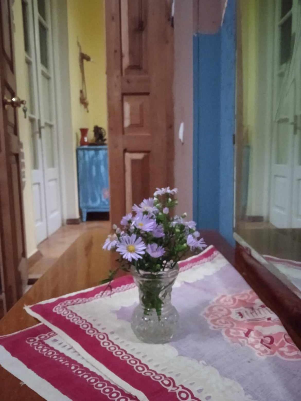 Guest House Meri Poppins Dedoplis Tskaro Εξωτερικό φωτογραφία